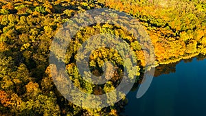 Golden autumn background, aerial view of forest with yellow trees and beautiful lake landscape from above, Kiev, Goloseevo forest