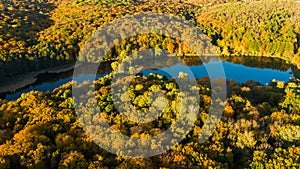 Golden autumn background, aerial view of forest with yellow trees and beautiful lake landscape from above, Kiev, Goloseevo forest