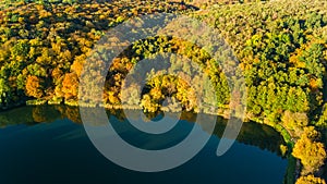 Golden autumn background, aerial view of forest with yellow trees and beautiful lake landscape from above, Kiev, Goloseevo forest