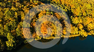 Golden autumn background, aerial view of forest with yellow trees and beautiful lake landscape from above, Kiev, Goloseevo forest