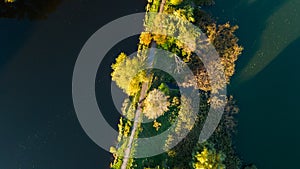 Golden autumn background, aerial view of forest with yellow trees and beautiful lake landscape from above, Kiev, Goloseevo forest