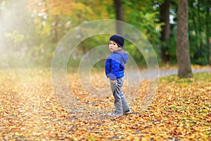 Golden autumn background with the fall leaves and little toddler