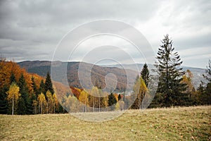 Golden autumn in the Carpathians. Mining arrays combined with trees with yellow leaves. Beautiful clouds and sun