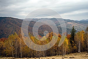 Golden autumn in the Carpathians. Mining arrays combined with trees with yellow leaves. Beautiful clouds and sun