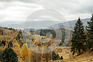 Golden autumn in the Carpathians. Mining arrays combined with trees with yellow leaves. Beautiful clouds and sun