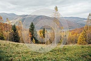 Golden autumn in the Carpathians. Mining arrays combined with trees with yellow leaves. Beautiful clouds and sun