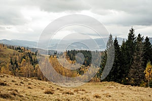 Golden autumn in the Carpathians. Mining arrays combined with trees with yellow leaves. Beautiful clouds and sun