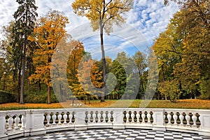Golden autumn in Catherine park, Tsarskoye Selo