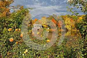 Golden autumn in in Catherine park, Tsarskoye Selo (Pushkin)