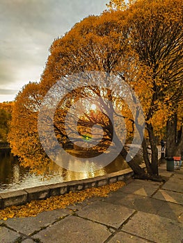 Golden autumn in a children`s park in the city of Tolyatti