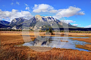 Golden autumn colors of Jasper National Park