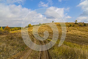 Golden autumn in the countryside