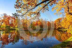 Golden autumn fall in Alexander park, Tsarskoe Selo Pushkin Saint Petersburg, Russia