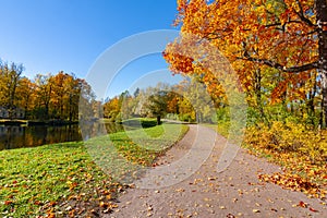 Golden autumn (fall) in Alexander park, Tsarskoe Selo (Pushkin) Saint Petersburg, Russia