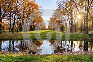 Golden autumn fall in Alexander park, Tsarskoe Selo Pushkin, Saint Petersburg, Russia