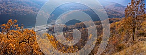 Golden autumn foliage of oaks, mountains and hills Panorama