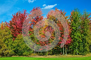 Golden autumn in French Canada photo