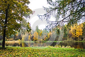 Golden autumn in Gatchina Park