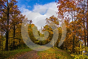 Golden autumn in Gatchina Park