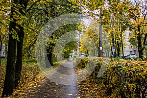 Golden autumn in Gatchina Park