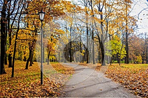 Golden autumn in Gatchina Park