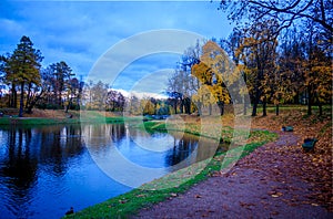 Golden autumn in Gatchina Park