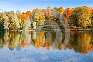 Golden autumn in the Gatchina park, St. Petersburg, Russia
