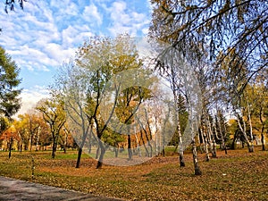 Golden autumn in Irkutsk park