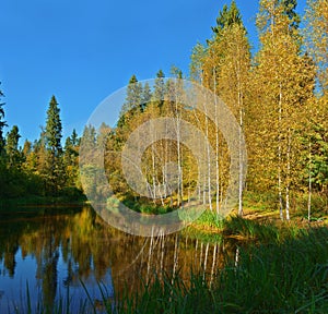 Golden autumn on the lake near Shakhmatovo (Russia, autumn)