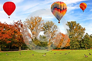 Golden autumn landscape