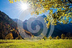 Golden autumn landscape at Eng tirol, with maple colorful maple trees