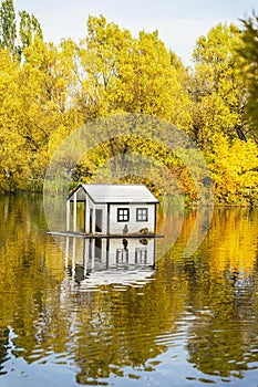 Golden autumn landscape with pond and floating duck house in park