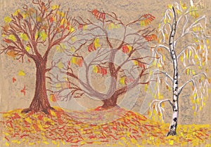 Golden autumn, listopad. Children `s drawing, pastel, paper