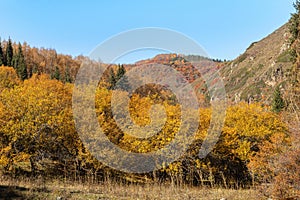 Golden autumn in the mountains of the Trans-Ili Alatau
