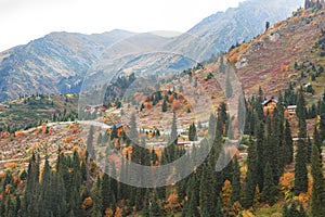 Golden autumn in the mountains of the Zailiyskiy alatau.