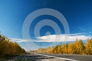 Golden autumn north scenery with forest along the road and bright blue sky