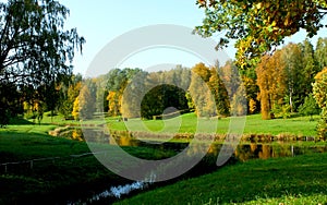 Golden autumn in the park