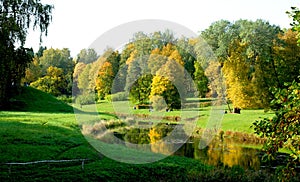 Golden autumn in the park