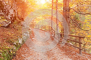 Golden autumn park. Sunrise in mountains