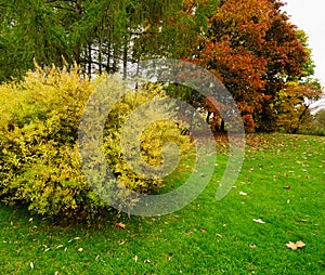 Golden Autumn. Tampere, Finland.