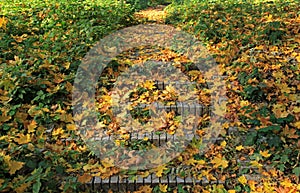 Golden autumn time. Brick stairs on the park footpath, covered with yellow leaves. Pavement in old city Park