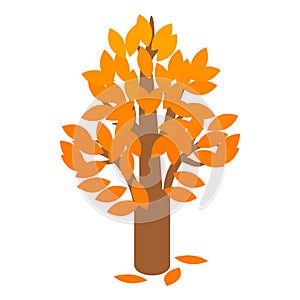 Golden autumn tree icon, isometric 3d style