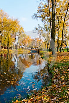 Golden autumn trees. Path in fallen leaves near the canal in sunny weather.