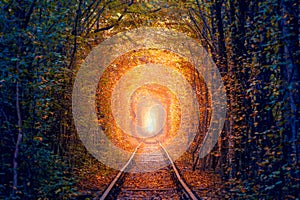 Golden Autumn Trees Tunnel with old railway - Tunnel of Love. Natural tunnel of love formed by trees