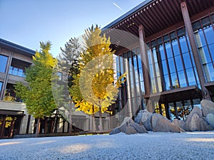 The golden autumn of Yanqi Hotel in sunset Huairou, Beijing