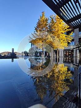 The golden autumn of Yanqi Hotel in sunset Huairou, Beijing