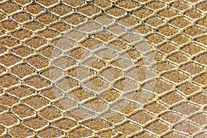 Golden background of scales similar to snakeskin with rhomboid s