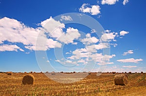 Golden bales of hay on the lands photo