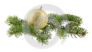 golden ball and branch of Christmas tree isolated