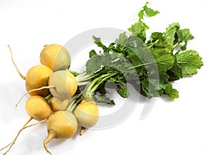 Golden Ball Turnip, brassica rapa, Vegetable against White Background
